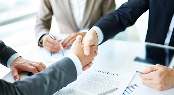 About Stallion Visa Services